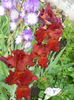 DSCN2013_063