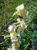 DSCN2034_084