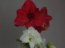 DSC01413