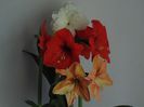 DSC01376
