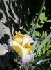 20140508_125018