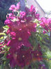 P120514_16.04_[01]