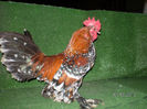 SANY0083