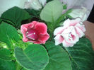 20140513_180350