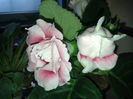 20140511_192139