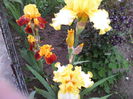 IMG_20140513_202308