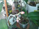 20140513_080854