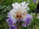 DSCN2129_012