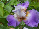 DSCN2130_013