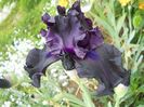 DSCN2131_014