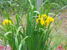 DSCN2133_016