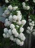 DSCN5968