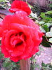 IMG_20140514_093842