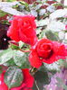 IMG_20140514_093815