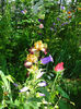 DSC00199