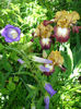 DSC00202
