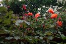 20140514_102406