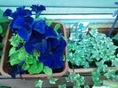 20140514_102710