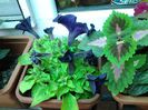20140514_102651