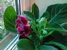 20140514_112306