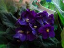 20140514_112318