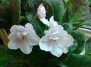 20140514_112338