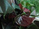 20140514_112346