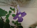 20140514_112230