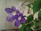 20140514_112222