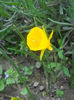DSCN9631