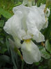 DSCN9661