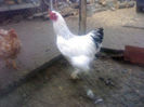 94767213_ZSMRXPN3
