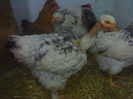 95206940_DFXEGQS