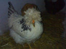 95207195_KVXZMUF