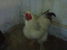 95779581_YNDOABH