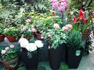 20140514_125743