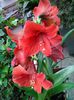 20140514_130003