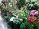 20140514_130154