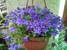20140514_130013