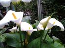 20140514_125948