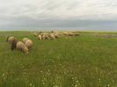 20140510_190932