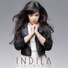 Indila-MiniWorldCover