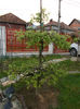DSCN1204