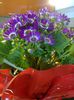 Photo0026