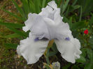 DSCN2136_002