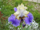 DSCN2144_010