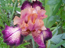 DSCN2146_012