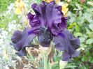 DSCN2147_013