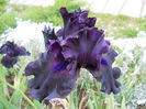 DSCN2148_014