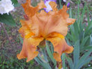 DSCN2152_018